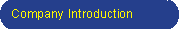 CompanyIntroduction